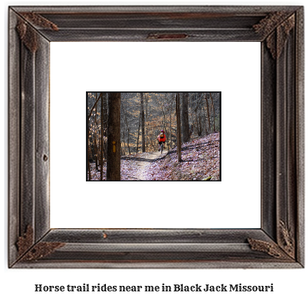 horse trail rides near me in Black Jack, Missouri